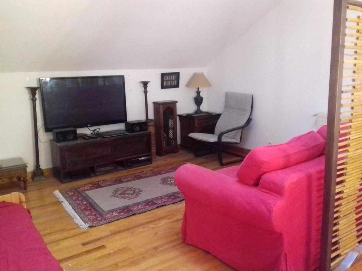 Appartement En Loft 50M2 Dans Maison Avec Chambre En Mezzanine Et Canapes Lits Dans Salon Сен-Пьер-де-Шартрёз Экстерьер фото